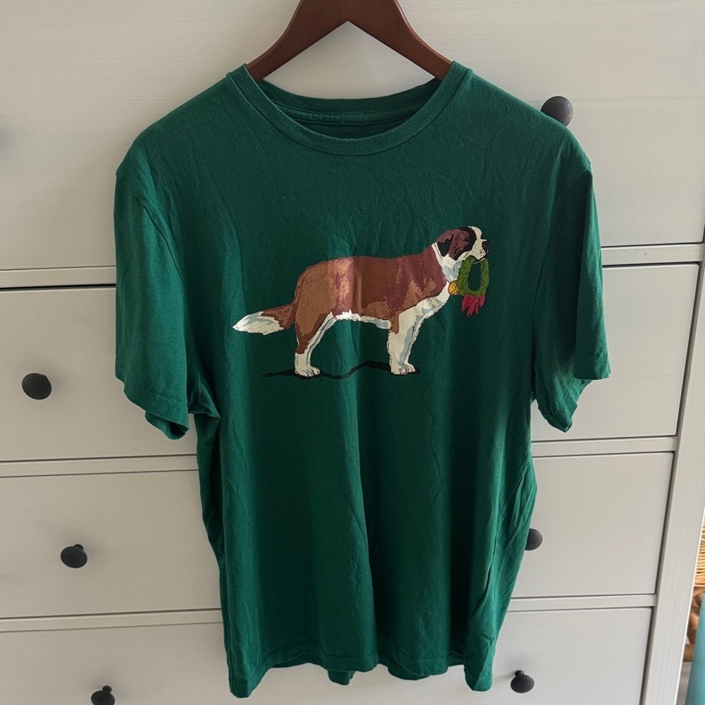 J Crew St Bernard Short Sleeved Graphic T Shirt Size L Teal Green